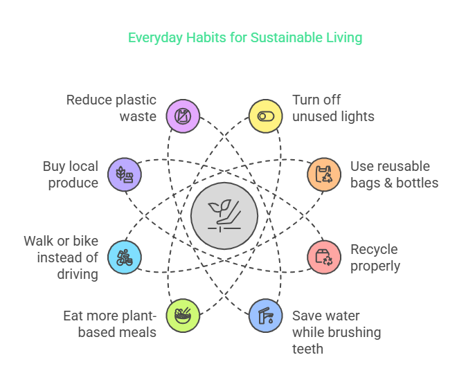 Sustainable Living for Beginners